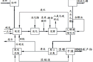 淀粉基原料生產(chǎn)燃料乙醇的節(jié)能工藝