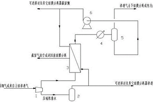 膜分離法捕集煙氣中二氧化碳的強(qiáng)化工藝