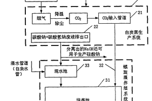 基于白炭黑生產(chǎn)系統(tǒng)的螺旋藻養(yǎng)殖系統(tǒng)及方法