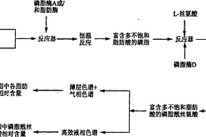 制備富含多不飽和脂肪酸的磷脂酰絲氨酸的方法