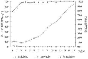 連續(xù)式的高濃度耐鹽硝化細(xì)菌規(guī)?；囵B(yǎng)方法