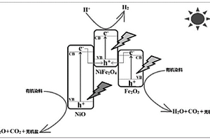 雙Z型光催化劑NiO/NiFe<Sub>2</Sub>O<Sub>4</Sub>/Fe<Sub>2</Sub>O<Sub>3</Sub>及其應(yīng)用