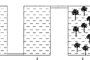 煤礦酸性礦井水生態(tài)處理方法