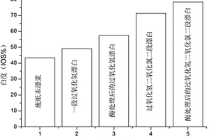 紙漿的生物質(zhì)基酶預(yù)處理漂白方法