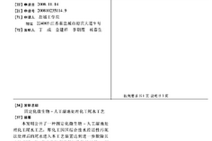 固定化微生物-人工濕地處理化工尾水工藝