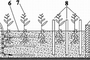 水平潛流人工濕地碳氧聯(lián)合調(diào)控脫氮系統(tǒng)