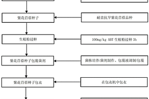 中重度碳酸鹽鹽堿地紫花苜蓿規(guī)?；N植方法