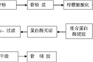 酶法制備骨明膠的方法