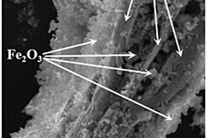 Fe2O3-MXenes復(fù)合催化劑及其制備方法與應(yīng)用