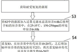 降解氨氮和總氮的制劑及其制備方法