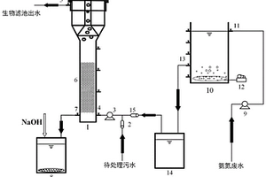 脫氮除磷的水處理裝置及其處理方法