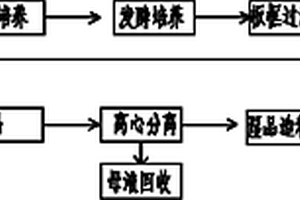 黑曲霉發(fā)酵生產(chǎn)葡萄糖酸鈣的方法