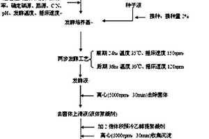 微生物絮凝劑的兩步發(fā)酵生產(chǎn)方法