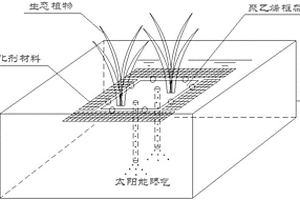 利用太陽能的深度水質(zhì)凈化系統(tǒng)