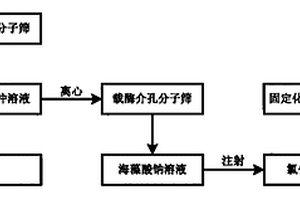 固定化酶生物催化劑的制備方法