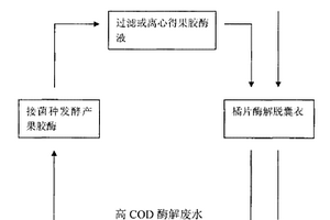 發(fā)酵-酶解耦聯(lián)脫除柑橘橘片囊衣的方法