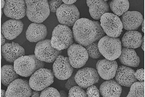 制造輕質(zhì)、高比表面積、花球型納米氫氧化鎂的方法