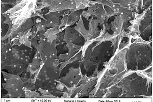 用于活化過硫酸鹽的Co<sub>3</sub>O<sub>4</sub>/三維氮摻雜石墨烯水凝膠催化劑及其制備和使用方法