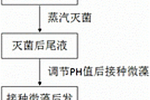 微藻在二氧化碳下生長凈化未稀釋厭氧發(fā)酵尾液的方法