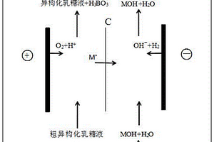 異構(gòu)化乳糖液的除硼方法