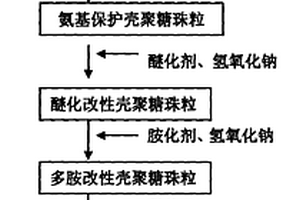 雙二硫代氨基甲酸基改性殼聚糖珠粒的制備方法