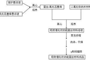 高效吸附催化雙功能菌絲材料的制備方法