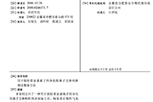 用于脫除重金屬離子的雜化陽離子交換吸附劑及制備方法