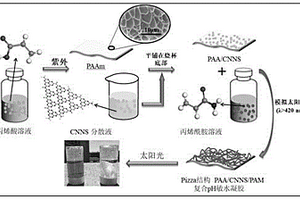 Pizza結(jié)構(gòu)的納米片氮化碳復(fù)合pH敏水凝膠、其制備方法及應(yīng)用