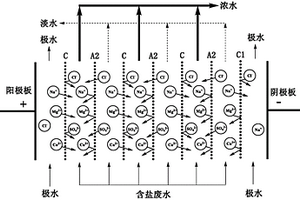 采用定向驅動技術防止極水系統(tǒng)結垢的電滲析裝置