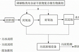 降解酚類內(nèi)分泌干擾物的復(fù)合微生物制劑及制備方法