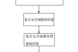 利用復(fù)合光合細(xì)菌處理豬場(chǎng)沼液的方法