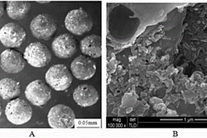 基于碳納米管的球形多孔吸附劑及其制備方法與應(yīng)用