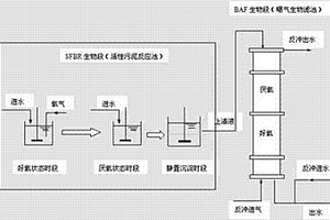 SFBR-BAF生物脫氮除磷技術(shù)