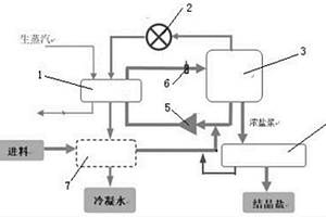 抗污堵、自潔凈MVR蒸發(fā)濃縮系統(tǒng)