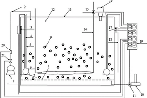 用于混合活性污泥自養(yǎng)脫氮工藝的裝置