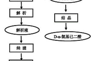 酶裂解法生產(chǎn)7-氨基頭孢烷酸結(jié)晶母液中有效成分的綜合回收方法