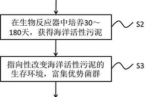 海洋活性污泥產(chǎn)品及其制備方法和水處理應用