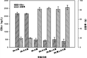 生物活性水及其制備方法