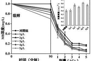 催化劑協(xié)同電離輻照降解水中有機污染物的方法