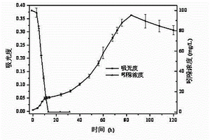 一株好氧降解吲哚的伯克霍爾德菌及其應(yīng)用