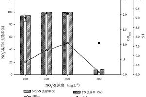 異養(yǎng)硝化-好氧反硝化菌及其培養(yǎng)方法和應(yīng)用