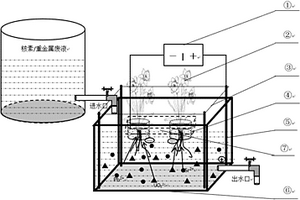 低壓電場(chǎng)-植物去除水體放射性核素/重金屬的方法及系統(tǒng)