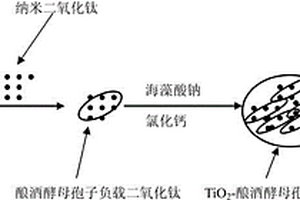 具有光化學活性的生物材料及其制備方法與應用