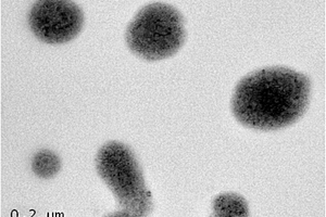 海藻酸鈉微膠囊負載納米Fe?FeS復合顆粒及其制備方法和應用