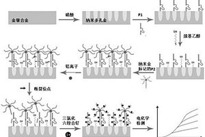 用于檢測鉛的適配體傳感器及其制備方法和應(yīng)用