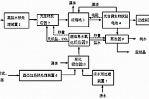 基于微藻的多技術(shù)耦合凈化高鹽水系統(tǒng)