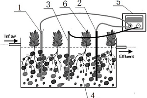 電化學(xué)強(qiáng)化人工濕地裝置
