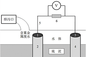 基于濃差電池的水體重金屬污染監(jiān)測(cè)裝置