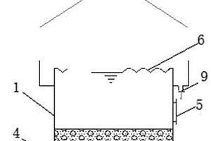 鐵碳催化還原高效去除總氮裝置及系統(tǒng)