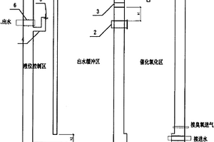 液位可控的上向流臭氧氧化池